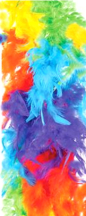 Feather Boas  60gr - Rainbow   SPECIAL $3.50